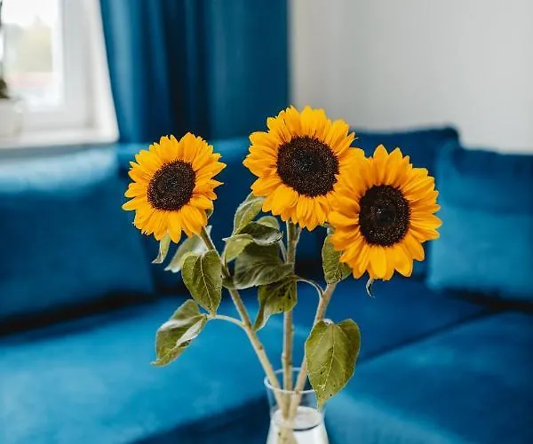 Διαμέρισμα Blue